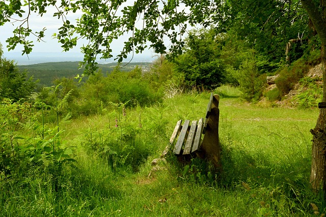 拜仁内部的 拜仁内部的
