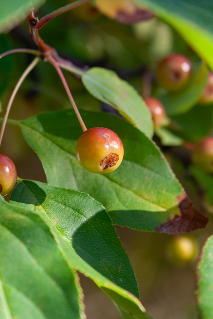 握流量的密 握流量的密