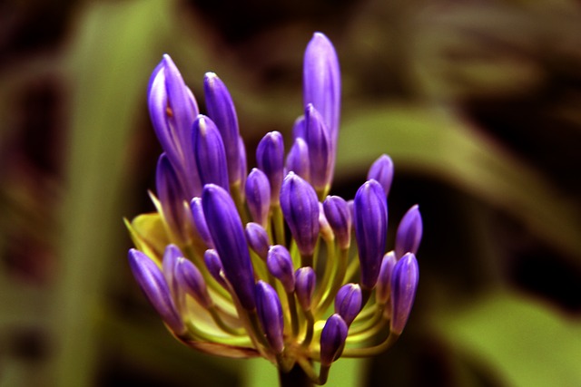 汉三镇的核 汉三镇的核