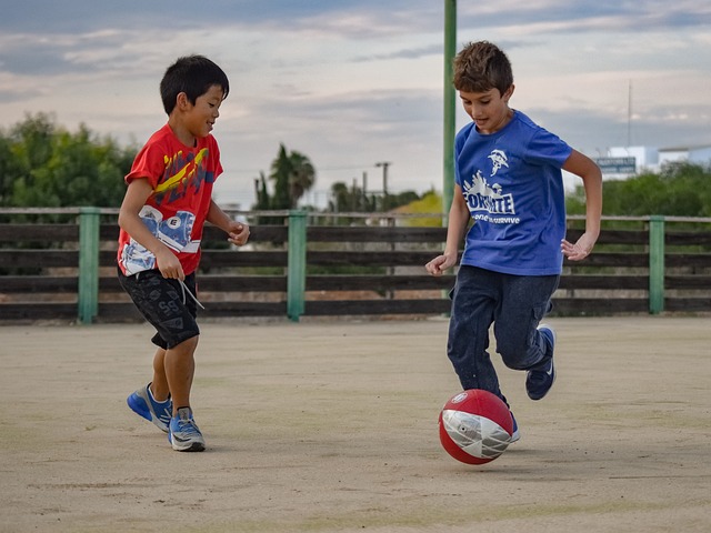 一个篮板机 一个篮板机